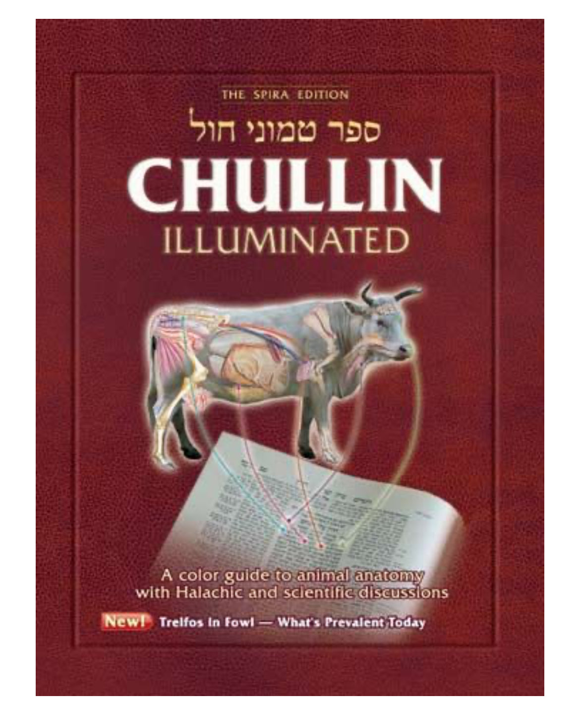 Chullin illuminated