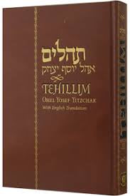 Tehillim Ohel Yosef yitzchok with English translation