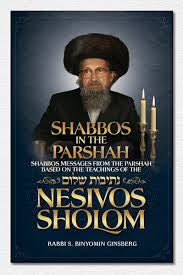Shabbos in the parsha