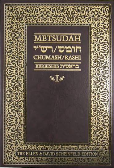 Metsudah Chumash beraishis-student