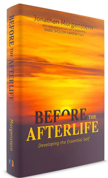 Before the afterlife
