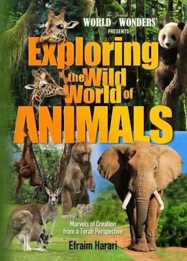 Exploring the wild world of animals