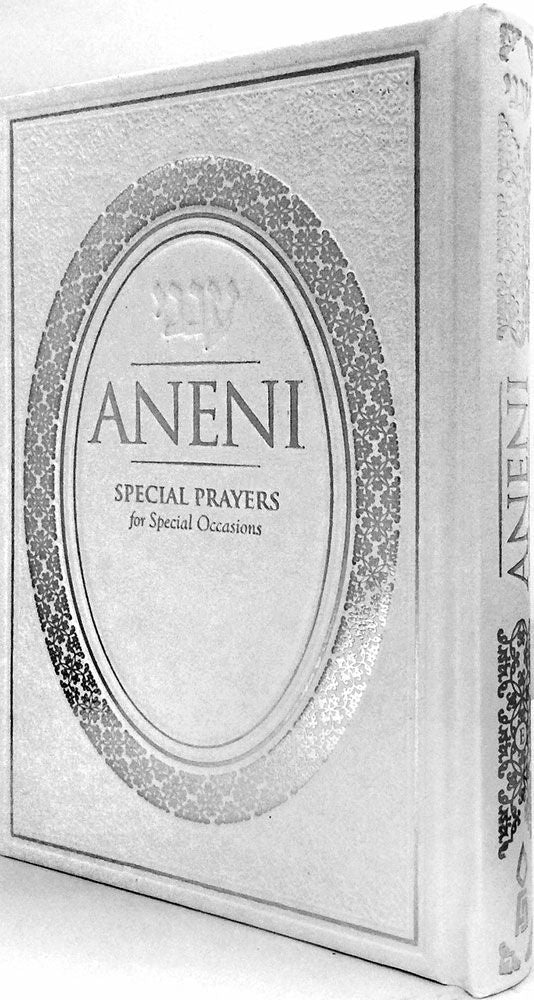 Aneni white hardcover large