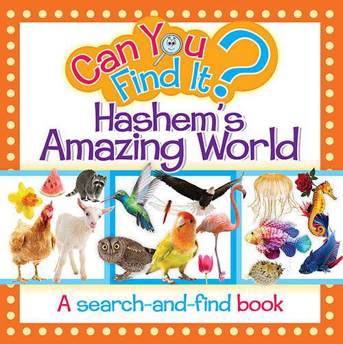 Can you find it Hashems amazing world