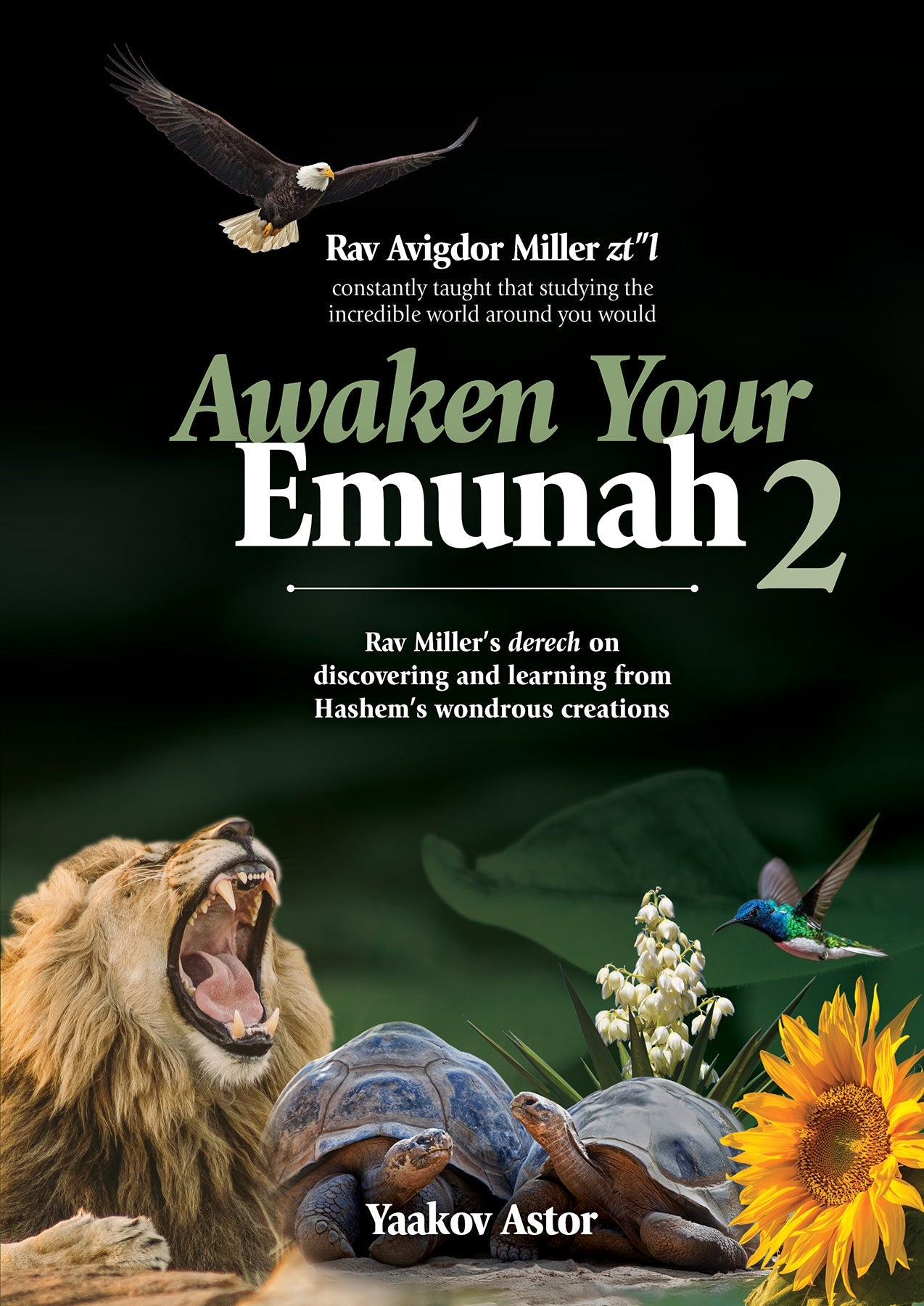 Awaken your emunah #2